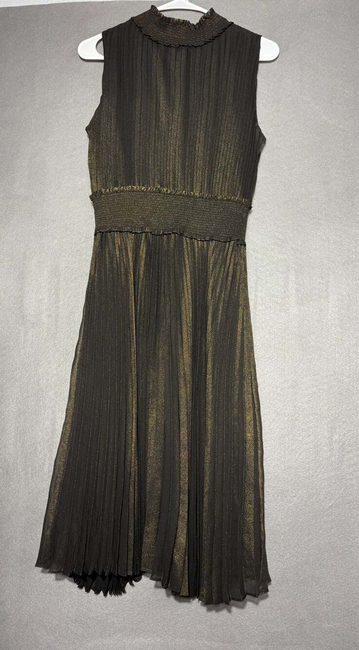 Black and Gold Metallic Pleated Dress